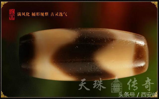扬子收藏的至纯天价天珠欣赏