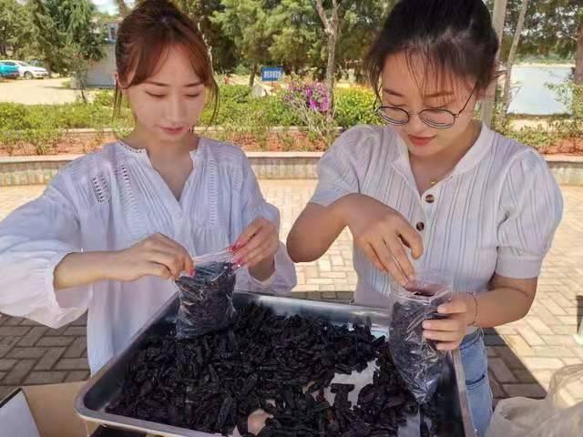 张明洪宾果儿：让大理宾川“满城天珠”尽带香