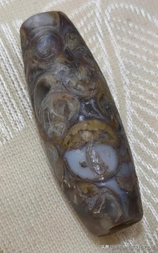 长4.2厘米的法螺天珠